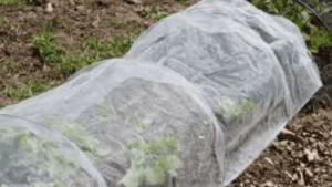 Frost Cloth