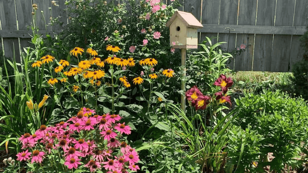 Personalized garden arch trellis with bright colors and birdhouses