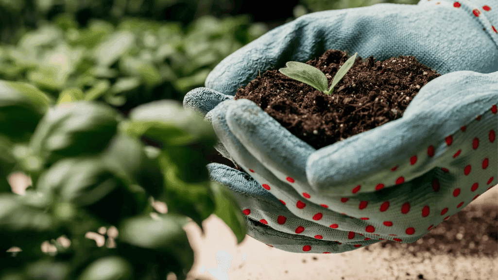 choosing the best organic fertilizer