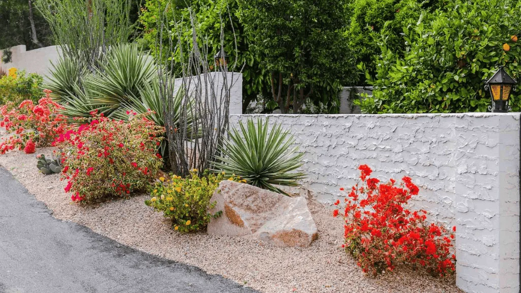 drought-adapted ornamentals in a water-wise garden