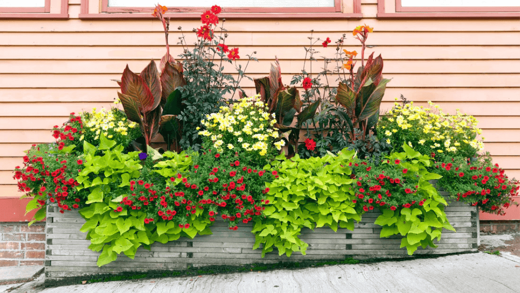 Elegant and modern outdoor ceramic pots
