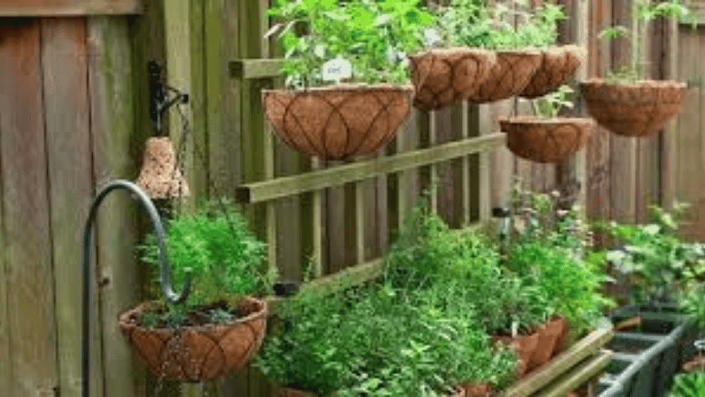 Extensive Range of Outdoor Planters