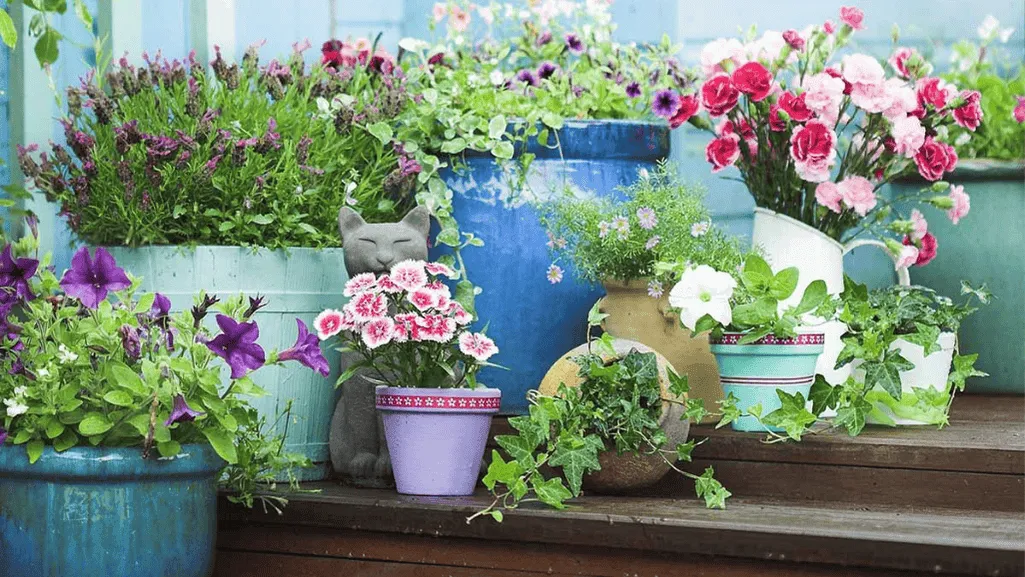 Outdoor planters in various materials