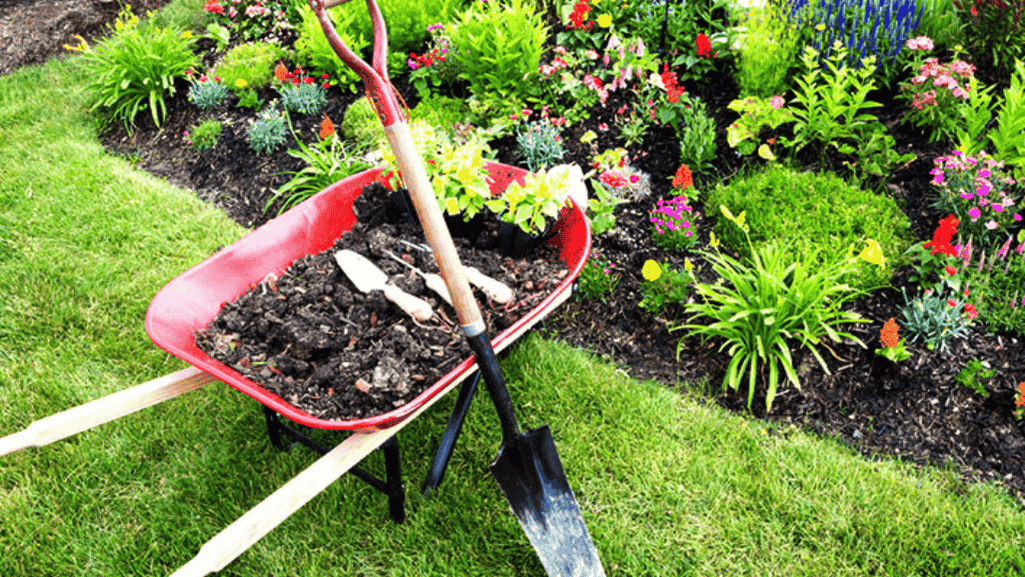 Using mulch for weed prevention in the garden