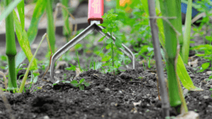 best way to get weeds out of garden