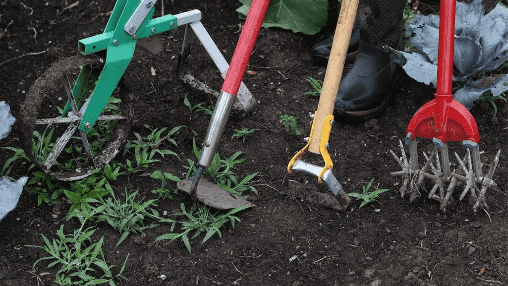 gardening tools for weeding
