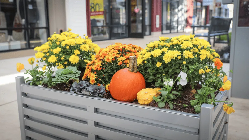 large outdoor planters
