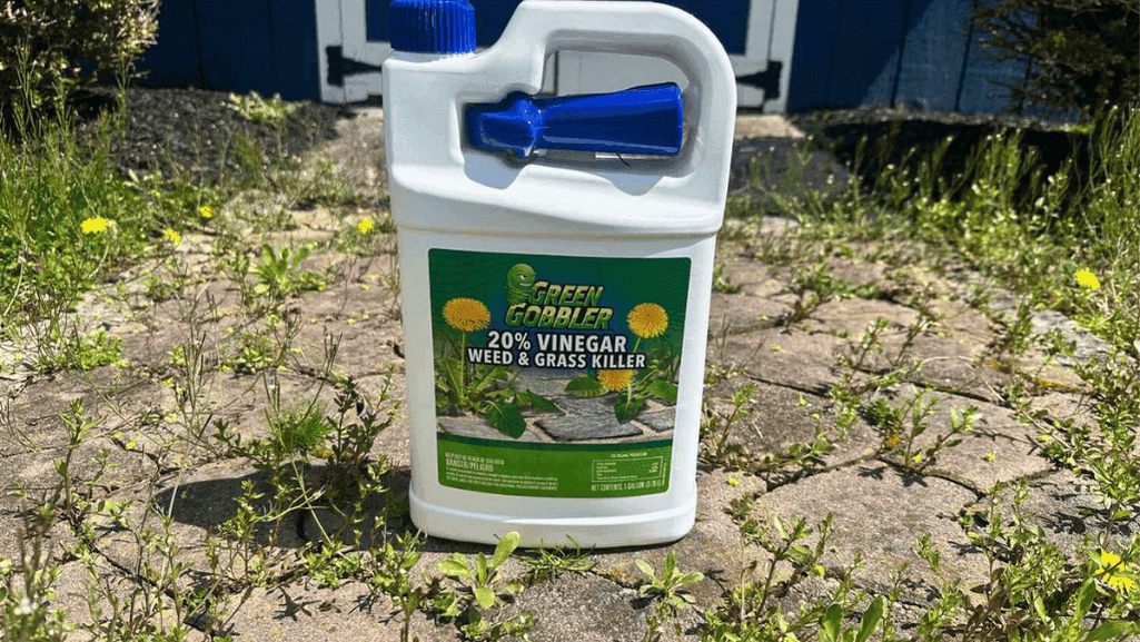 organic weed killers