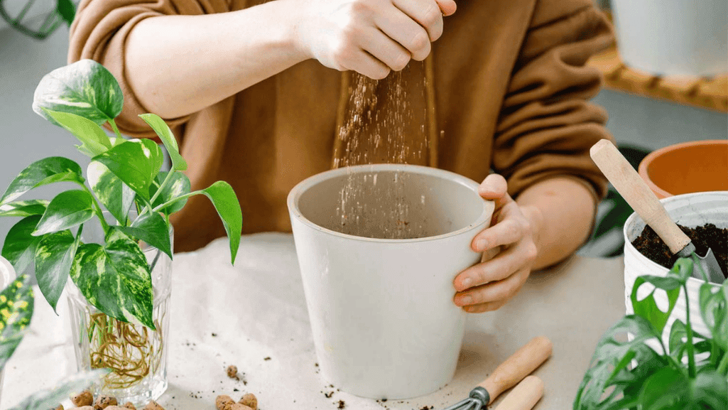 Container gardening soil ingredients