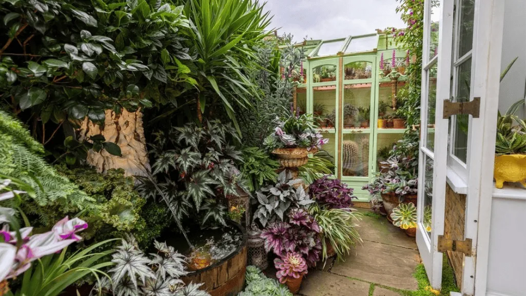 Small garden ideas for urban gardening