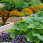 small space vegetable garden ideas