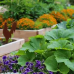 small space vegetable garden ideas