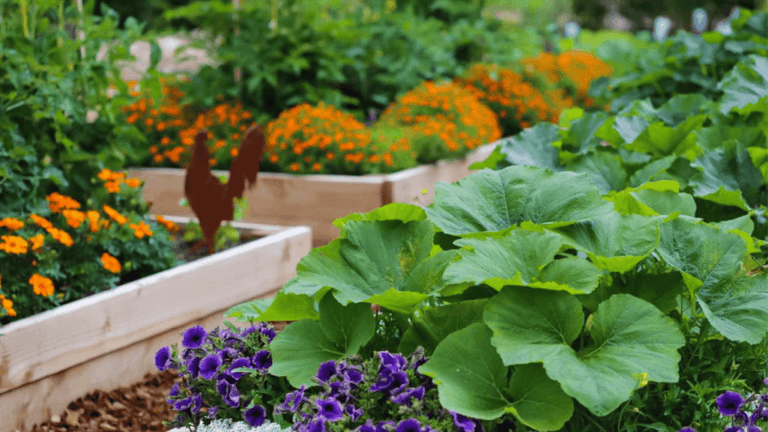 Small Space Vegetable Garden Ideas for Urban Growers Flowers 1 small space vegetable garden ideas
