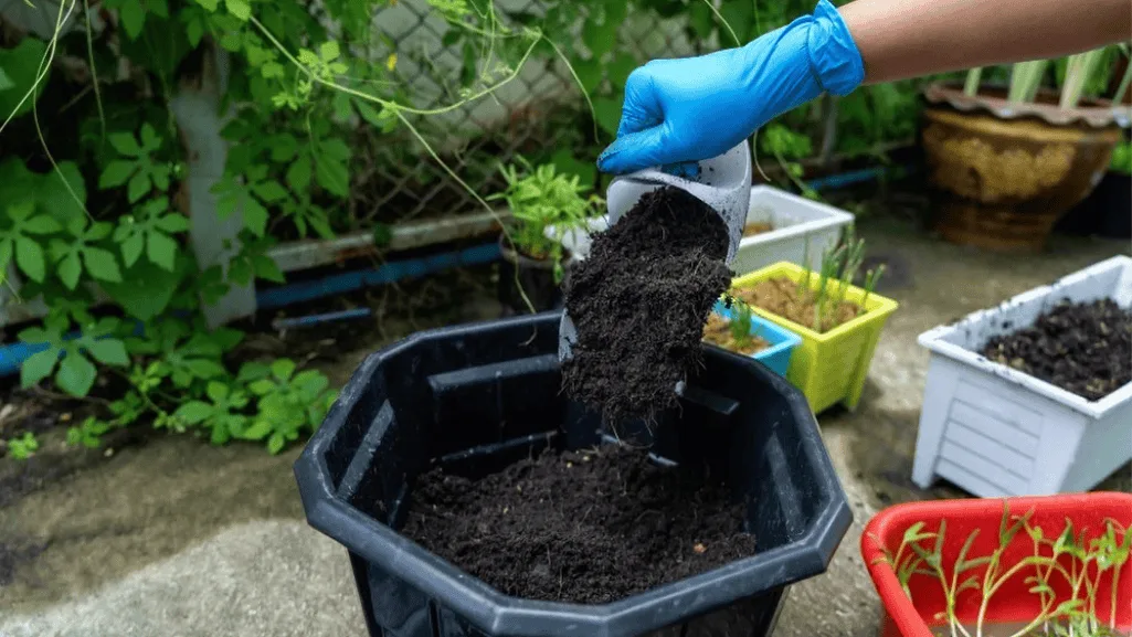 soil amendments for container gardening