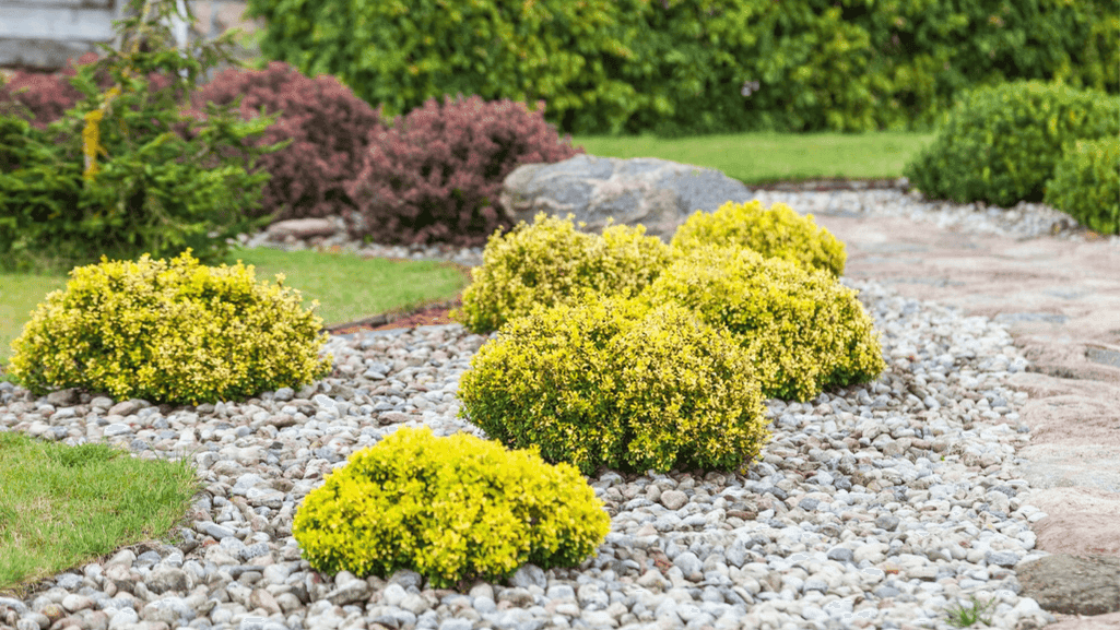 Garden types landscape