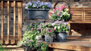 best plants for small pots