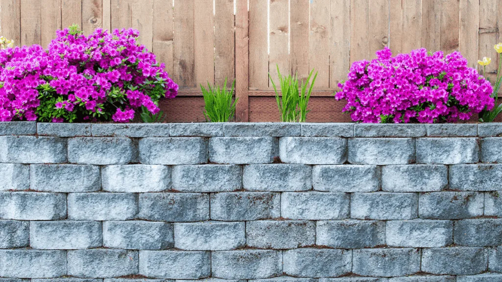 budget wall finishes