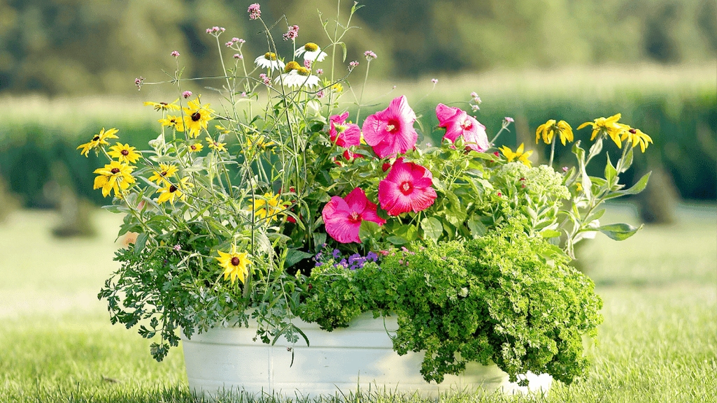 compact container flowers