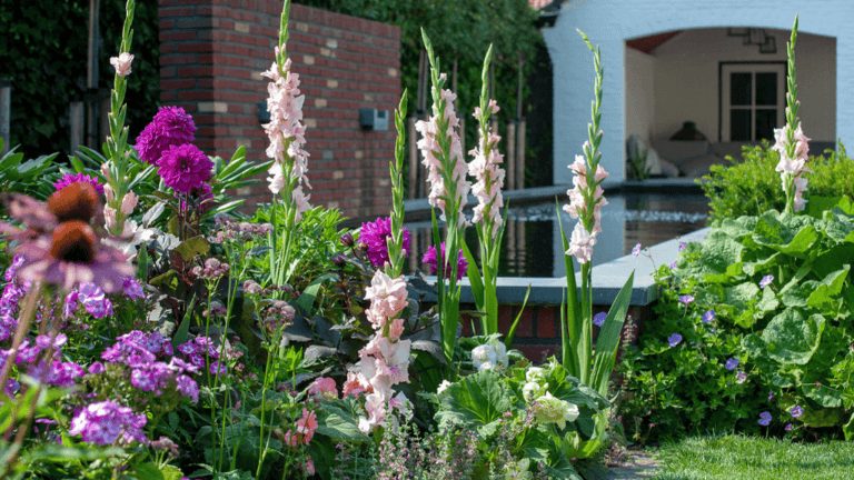 Stunning Flower Bed Plants to Elevate Your Landscape 48 flower bed plants