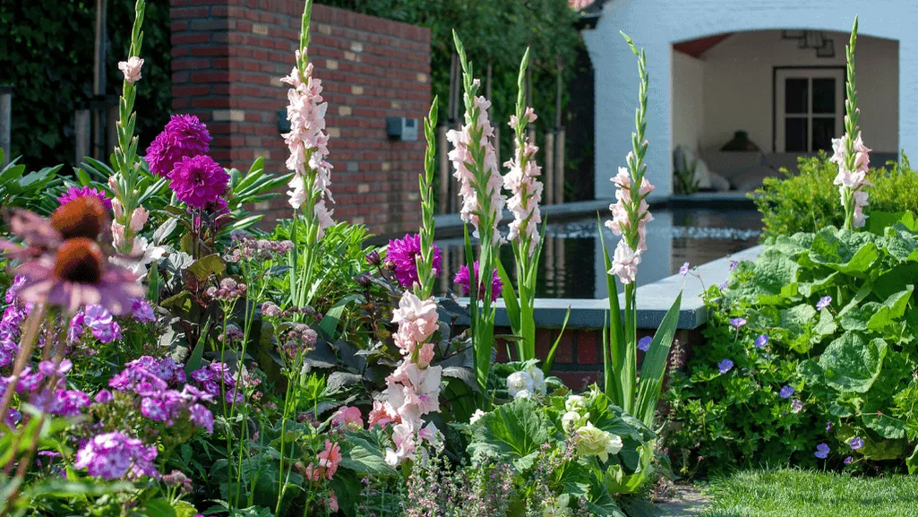 Stunning Flower Bed Plants to Elevate Your Landscape 1 flower bed plants