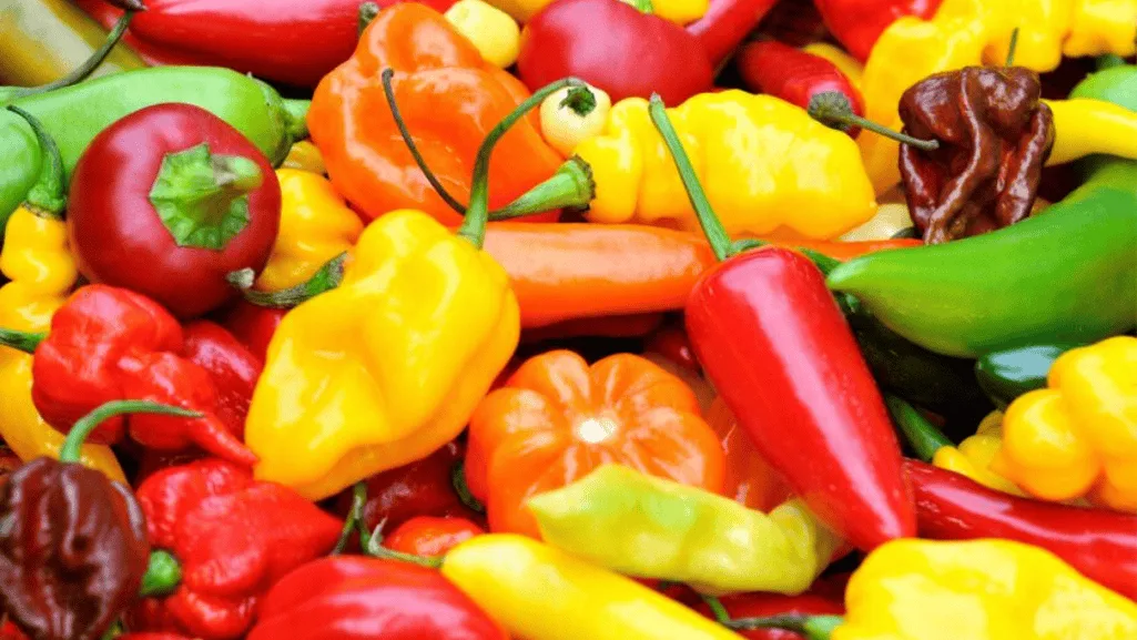 health Chili Peppers