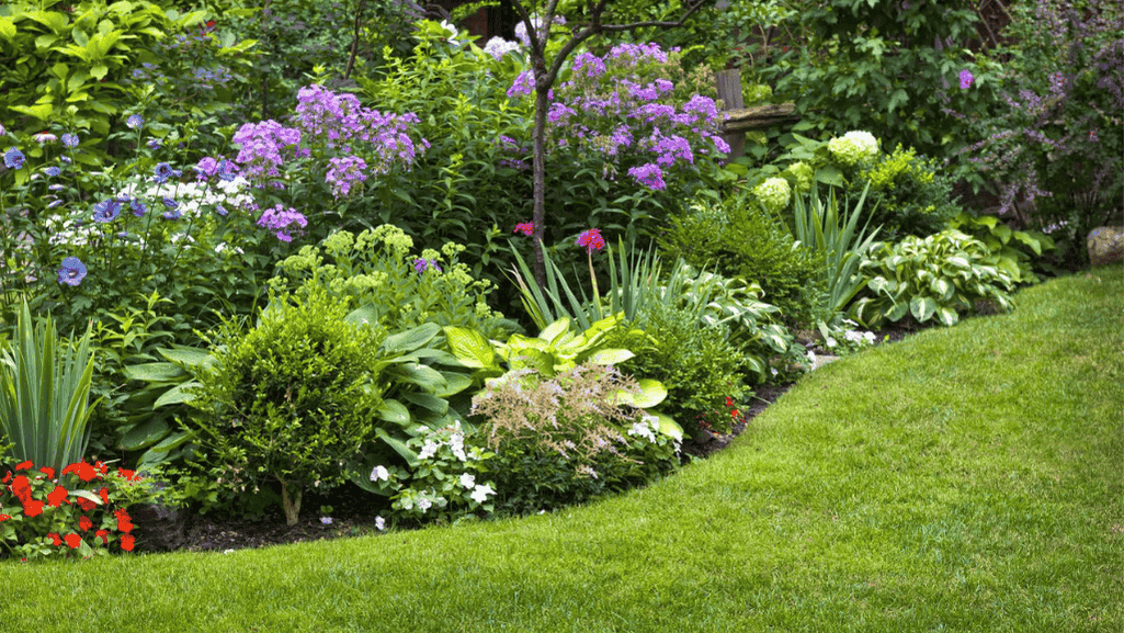 landscape design