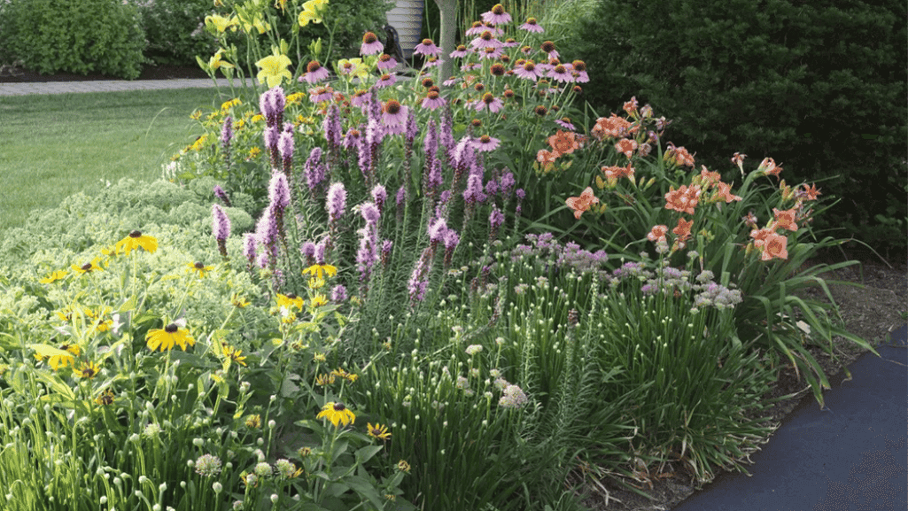 plant-driven garden