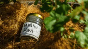 Baking soda is magic for plant