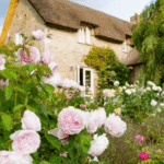 English Cottage Gardens