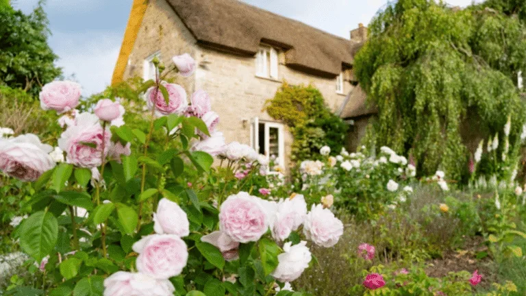 English Cottage Gardens