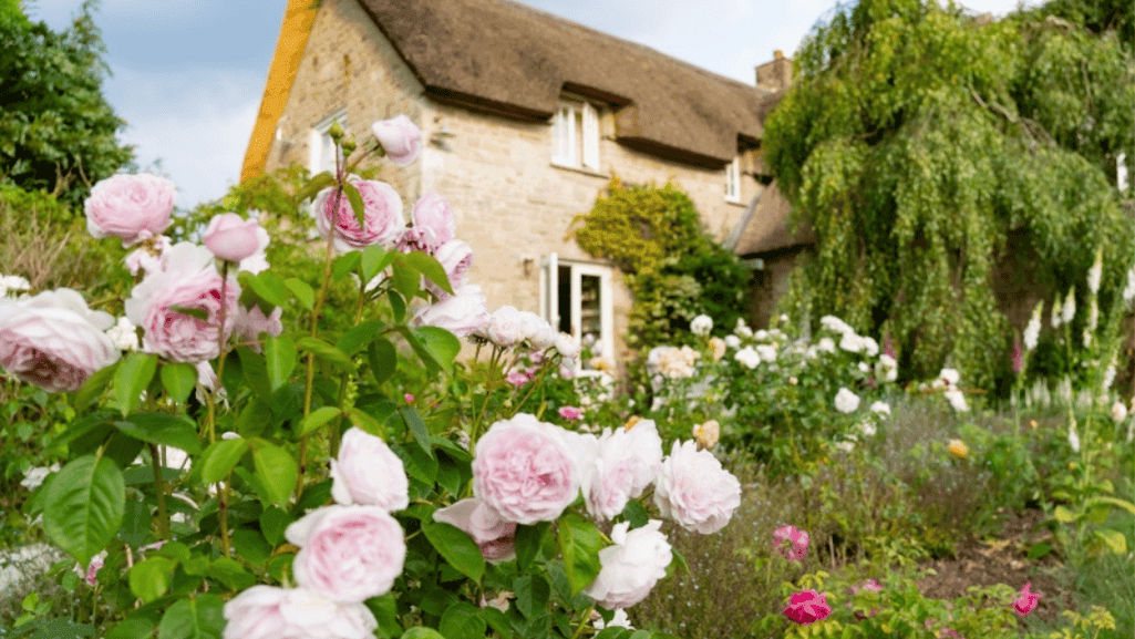English Cottage Gardens: Cultivating Countryside Charm 1 English Cottage Gardens