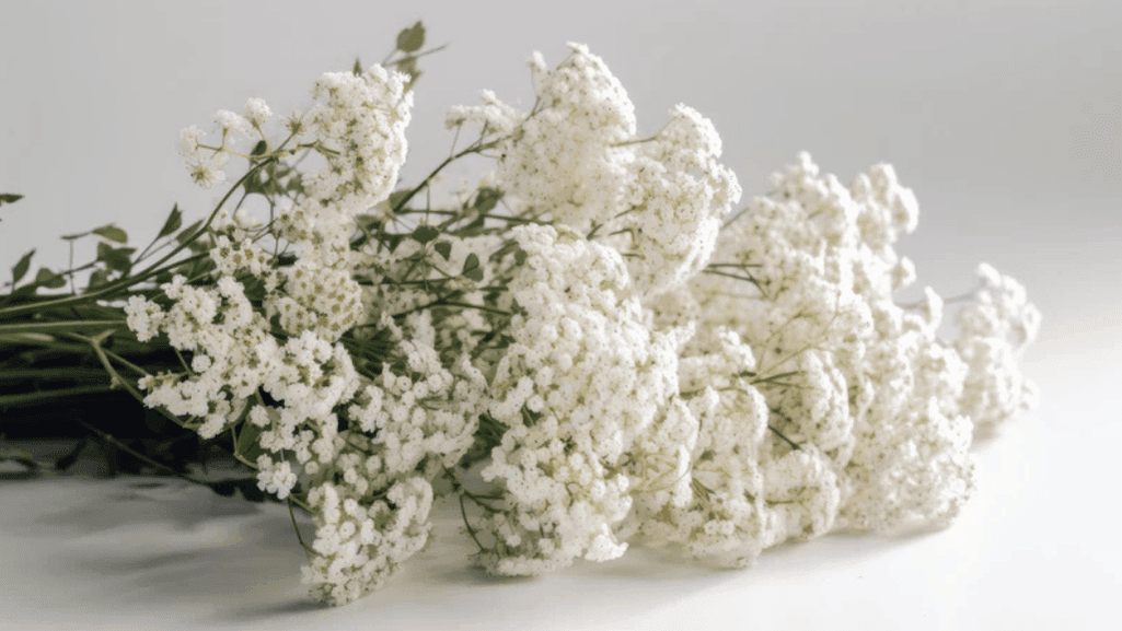 Step-by-step waxflower arrangement creation