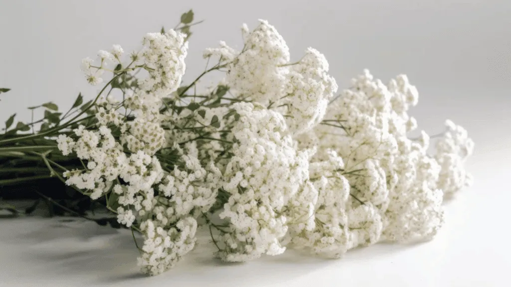 Step-by-step waxflower arrangement creation