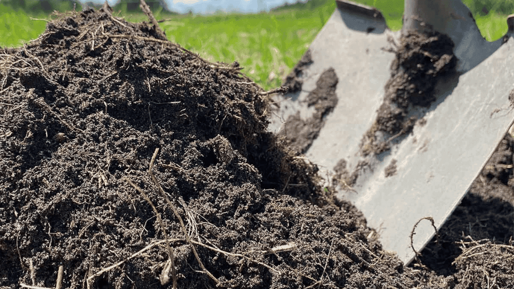 animal-based organic fertilizers for vegetable gardens