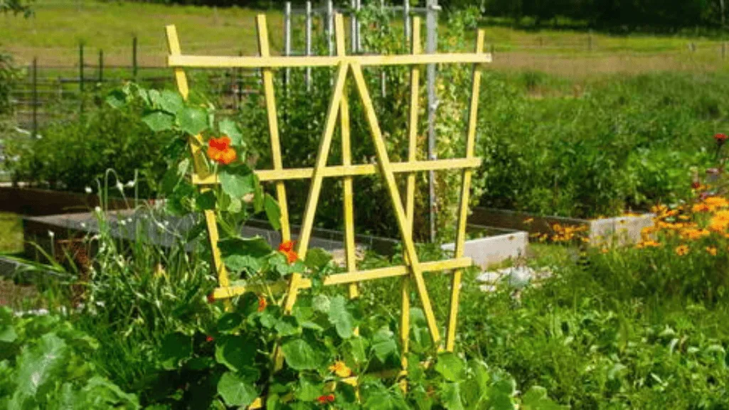 Maintaining Your DIY Garden Trellis