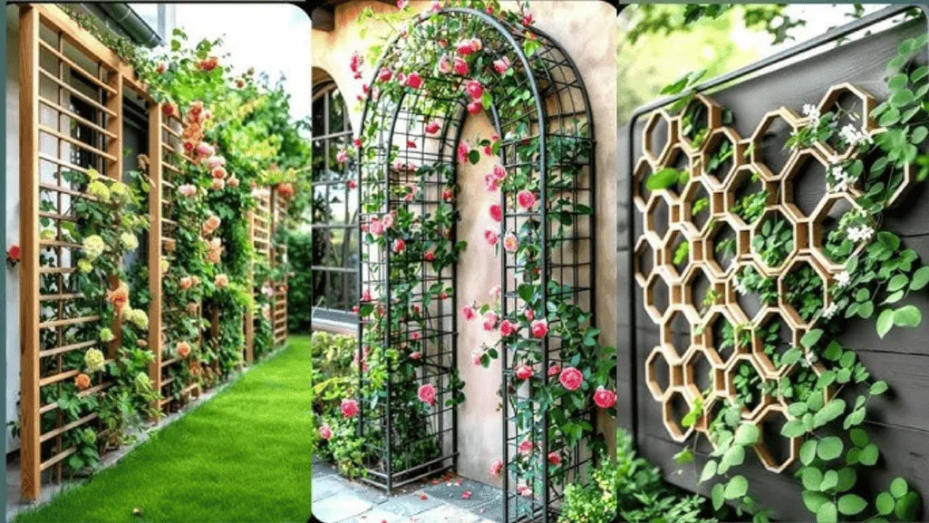 Trellis Alternatives for a Unique Garden Look