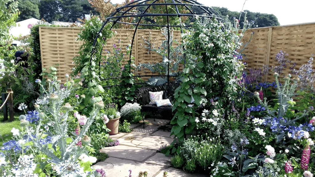 low cost climbing plant solutions